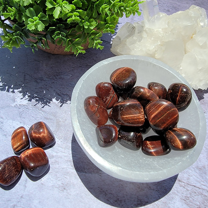 Red Tiger's Eye Tumbled Stones