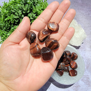 Red Tiger's Eye Tumbled Stones