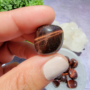 Red Tiger's Eye Tumbled Stones