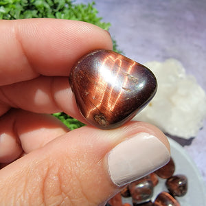 Red Tiger's Eye Tumbled Stones