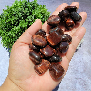 Red Tiger's Eye Tumbled Stones