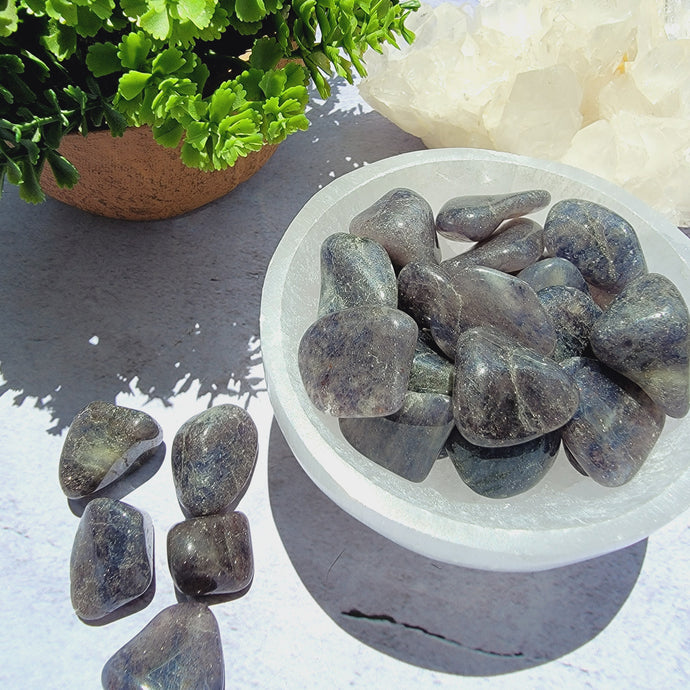 Iolite Tumbled Stones