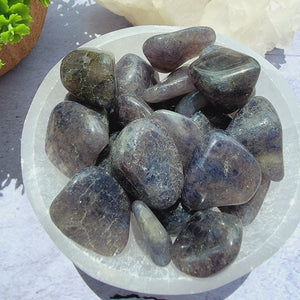 Iolite Tumbled Stones