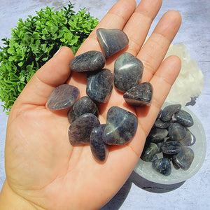 Iolite Tumbled Stones