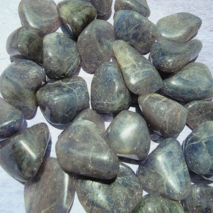 Iolite Tumbled Stones