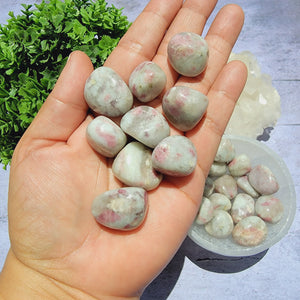 Pink Tourmaline in Quartz Tumbled Stones