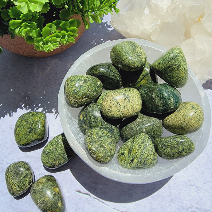 Snakeskin Jasper Tumbled Stones