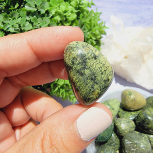 Snakeskin Jasper Tumbled Stones