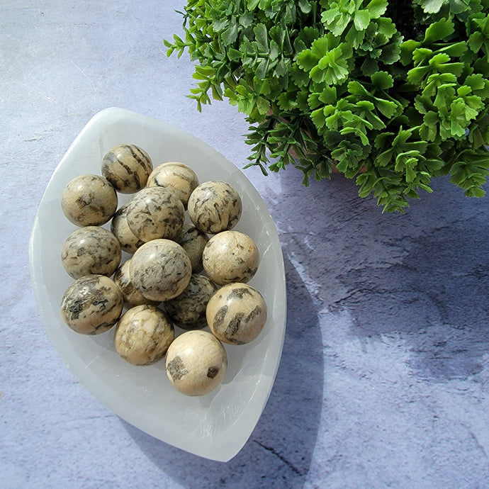 Zebradorite Mini Spheres