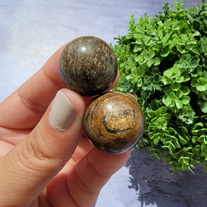 Bronzite Mini Spheres