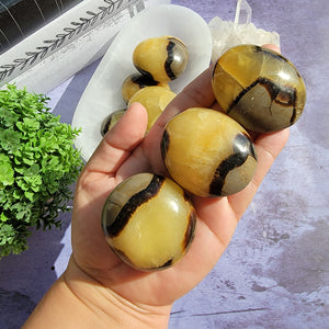 Septarian Palm Stones