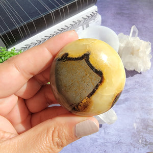 Septarian Palm Stones