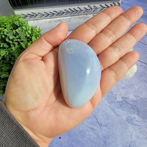 Blue Chalcedony Palm Stone "G"