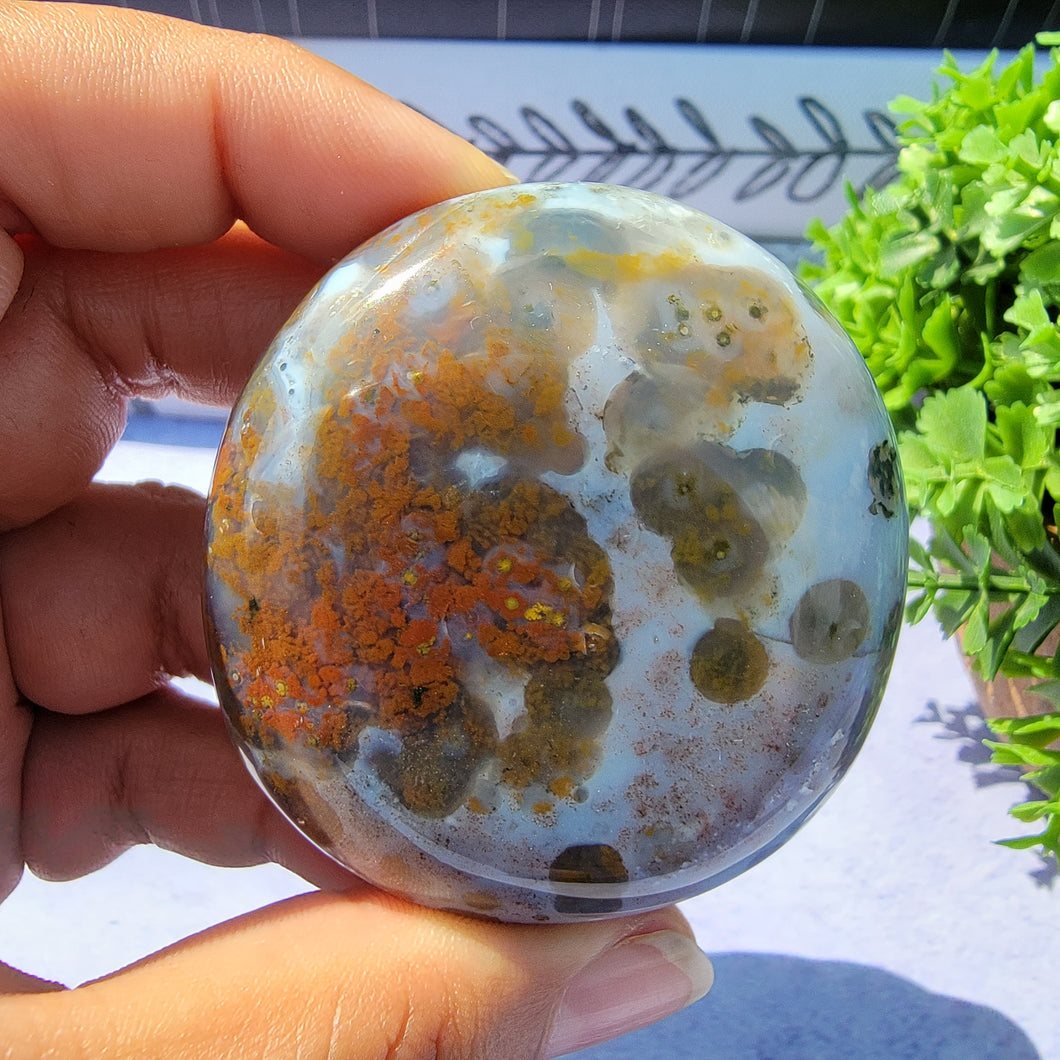 8th Vein Ocean Jasper Palm Stone 