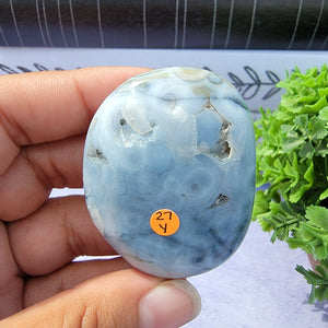 8th Vein Ocean Jasper Palm Stone "Y"