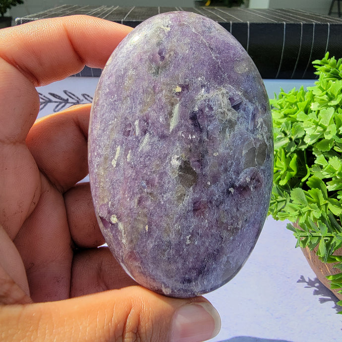 Lepidolite Palm Stone 