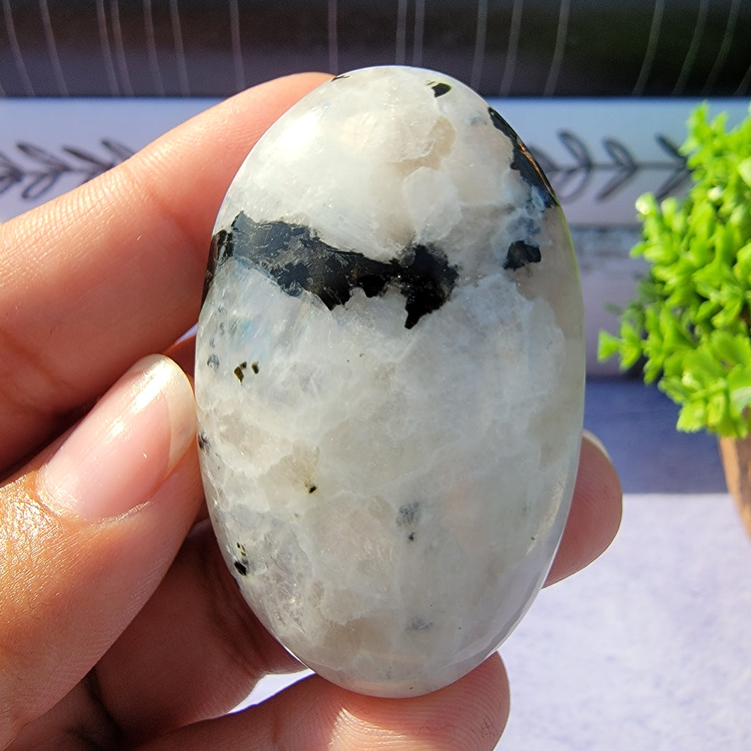 Rainbow Moonstone Palm Stone 