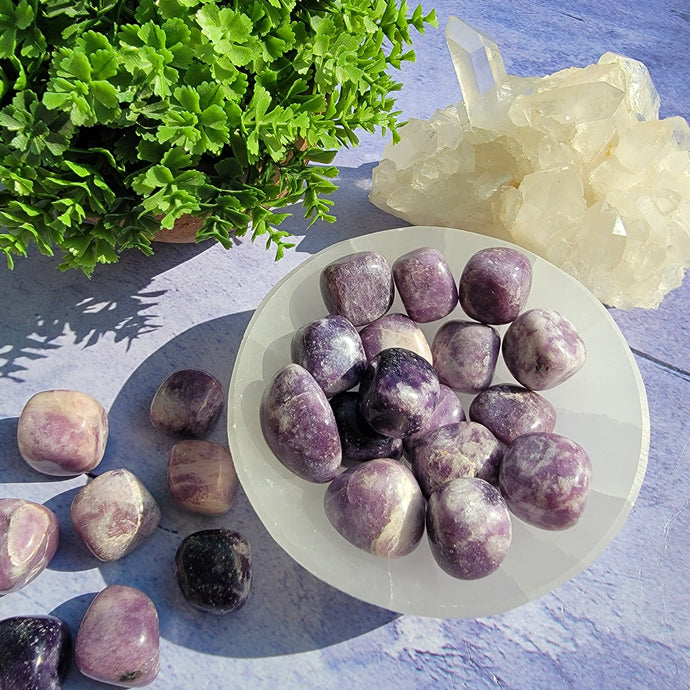 Lepidolite Tumbled Stones