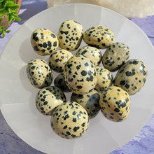 Load image into Gallery viewer, Dalmatian Jasper Tumbled Stones