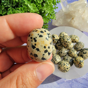 Dalmatian Jasper Tumbled Stones