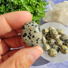 Load image into Gallery viewer, Dalmatian Jasper Tumbled Stones
