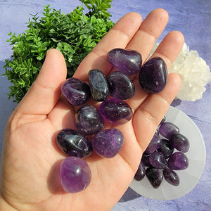 Amethyst (Dark Purple) Tumbled Stones