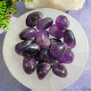 Amethyst (Dark Purple) Tumbled Stones