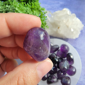 Amethyst (Dark Purple) Tumbled Stones