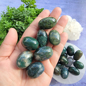 Moss Agate Tumbled Stones