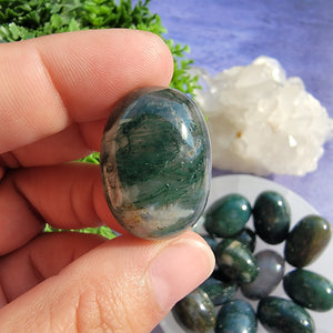 Moss Agate Tumbled Stones