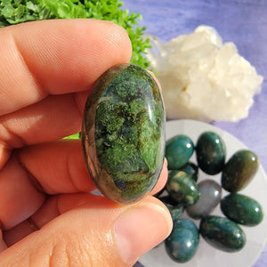 Moss Agate Tumbled Stones