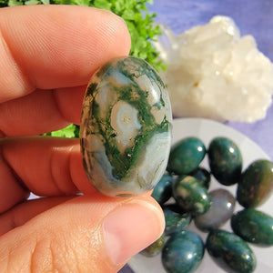 Moss Agate Tumbled Stones