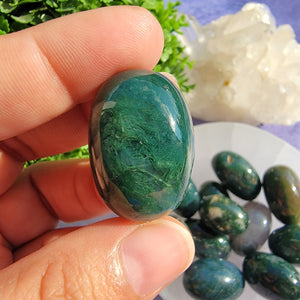 Moss Agate Tumbled Stones