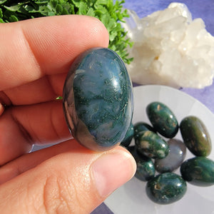 Moss Agate Tumbled Stones