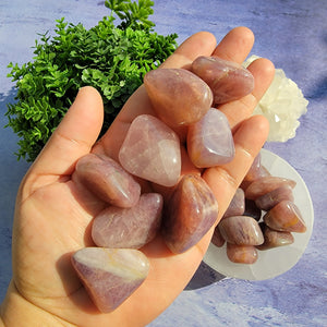 Lavender Rose Quartz Tumbled Stones