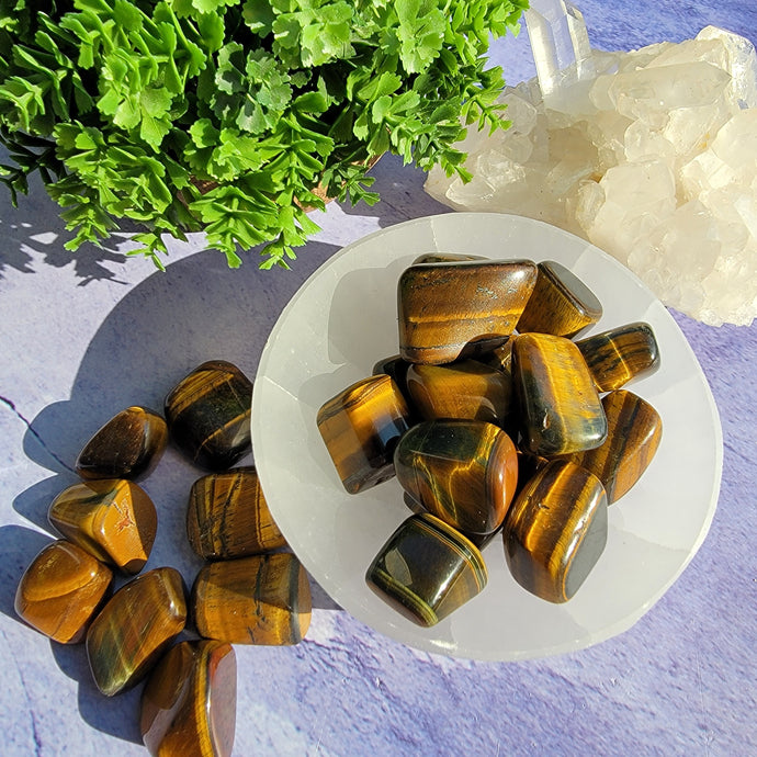 Tiger's Eye Tumbled Stones