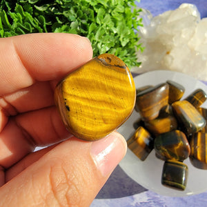 Tiger's Eye Tumbled Stones