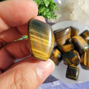 Tiger's Eye Tumbled Stones