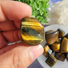 Load image into Gallery viewer, Tiger&#39;s Eye Tumbled Stones