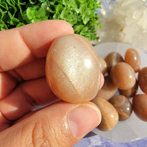 Peach Moonstone & Sunstone Tumbled Stones