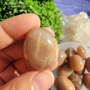 Peach Moonstone & Sunstone Tumbled Stones