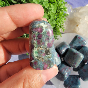 Ruby in Kyanite Tumbled Stones