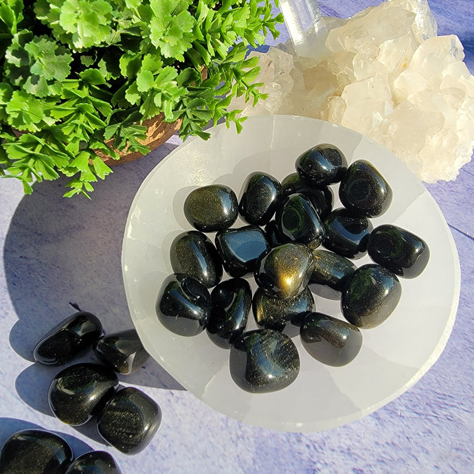 Gold Sheen Obsidian Tumbled Stones