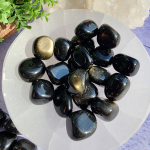 Gold Sheen Obsidian Tumbled Stones