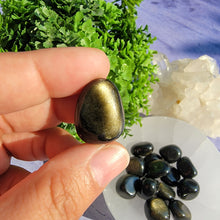 Load image into Gallery viewer, Gold Sheen Obsidian Tumbled Stones