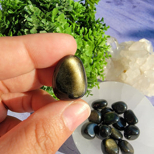 Gold Sheen Obsidian Tumbled Stones