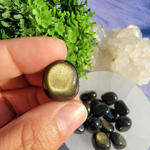 Gold Sheen Obsidian Tumbled Stones