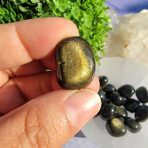 Gold Sheen Obsidian Tumbled Stones