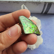 Load image into Gallery viewer, Ammolite &quot;H&quot;