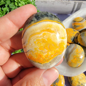 Bumblebee Jasper Palm Stones